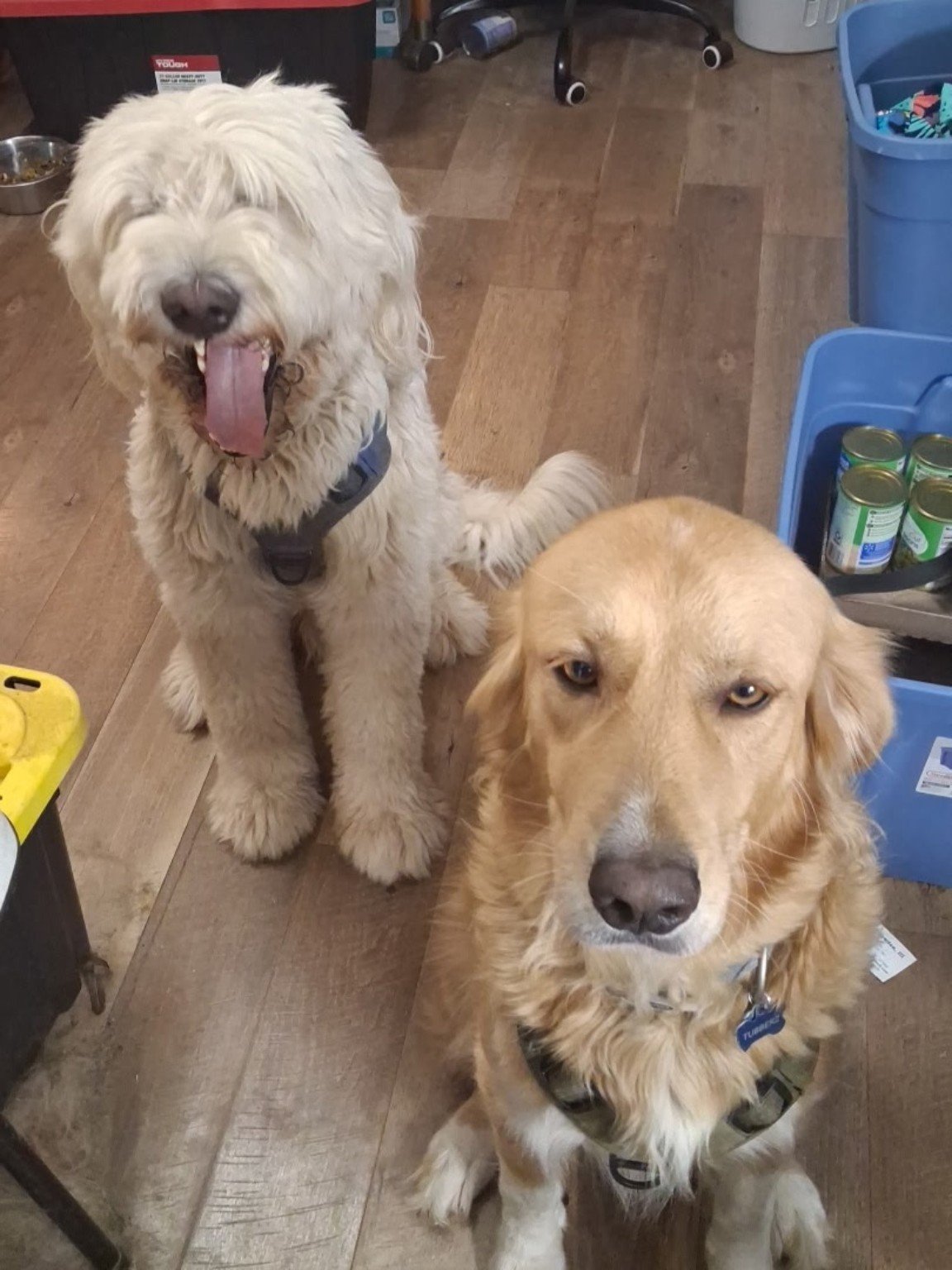 Brothers